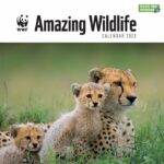WWF Fauna selvatica